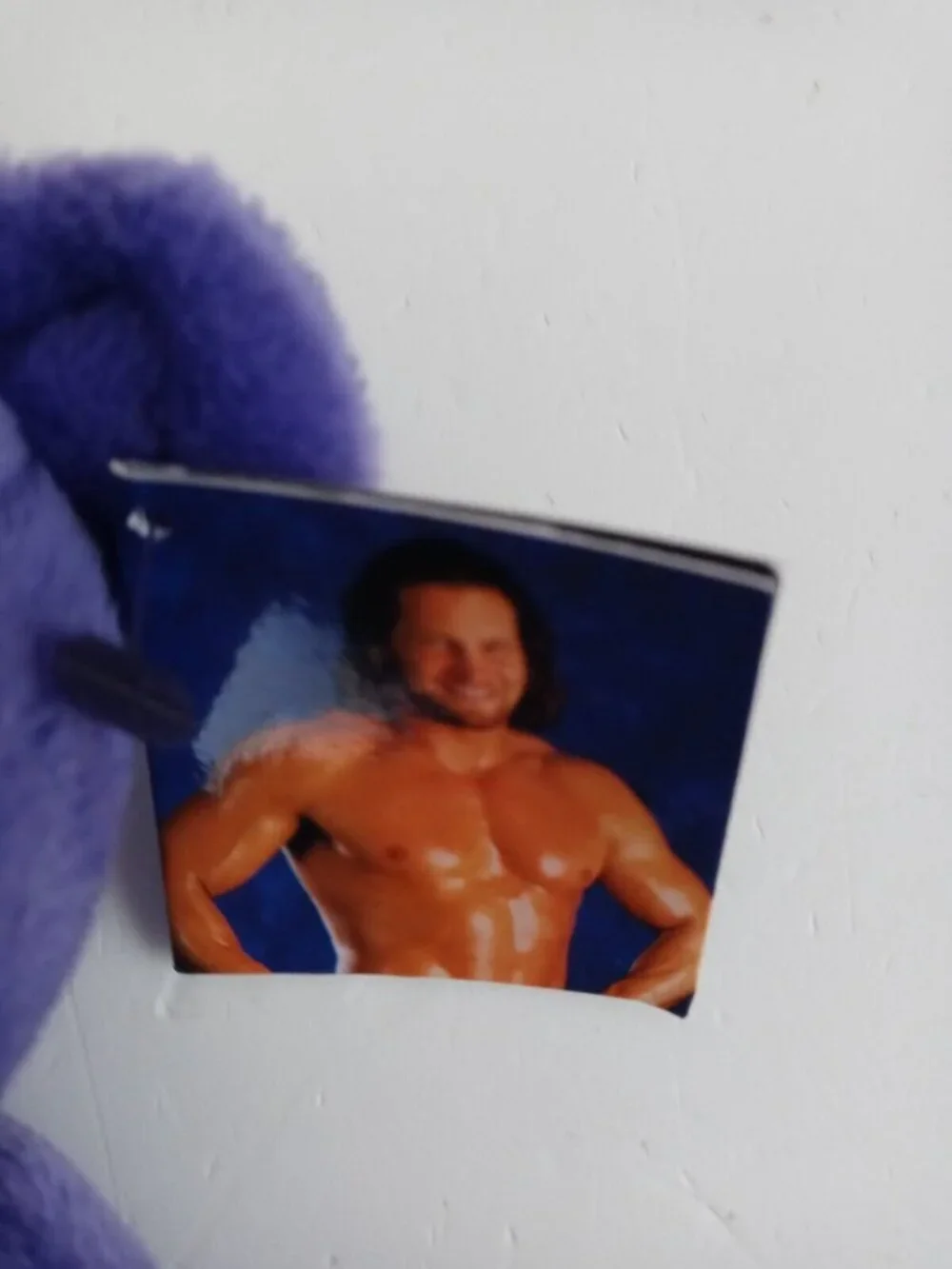 New 1999 WWF WWE Attitude Bear Val Venis 10